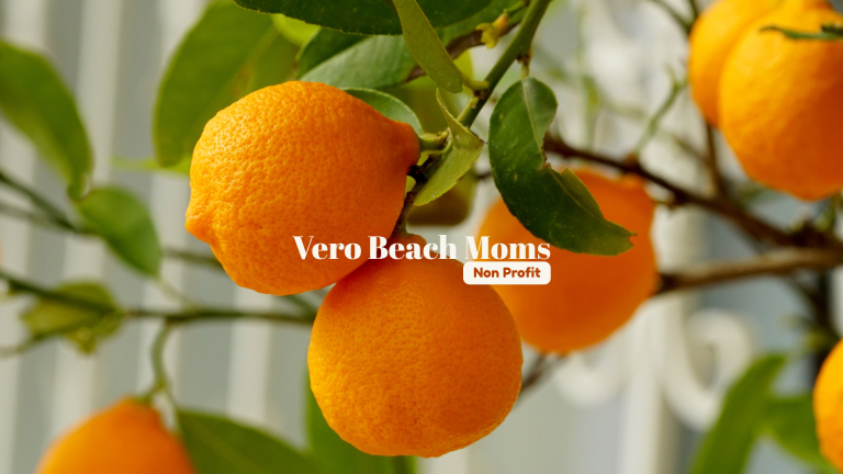 Vero Beach Moms Nonprofit